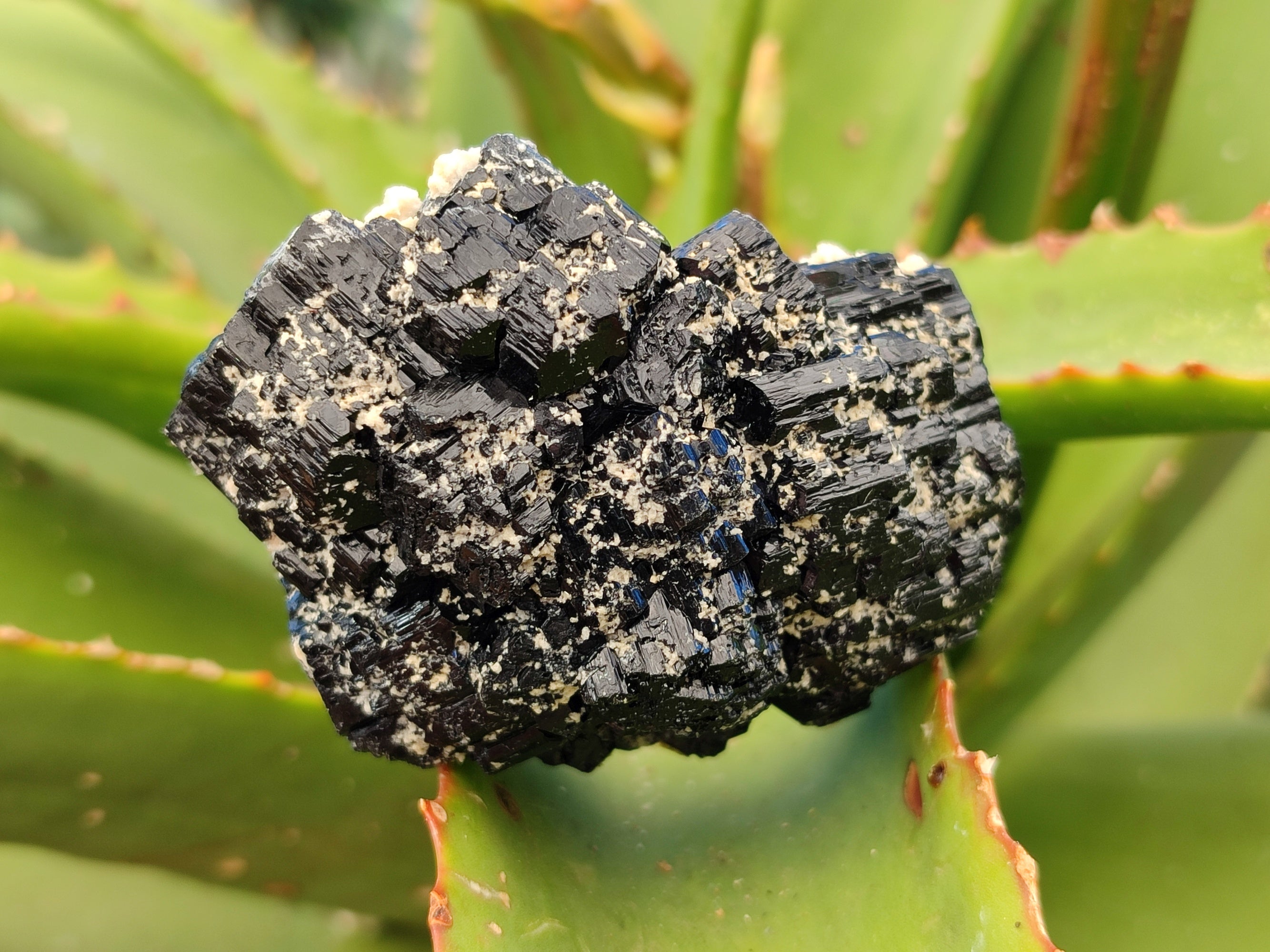 Natural Schorl Black Tourmaline on Orthoclase Matrix Clusters with a bit of Hyalite Opal x 6 From Erongo, Namibia - Toprock Gemstones and Minerals 