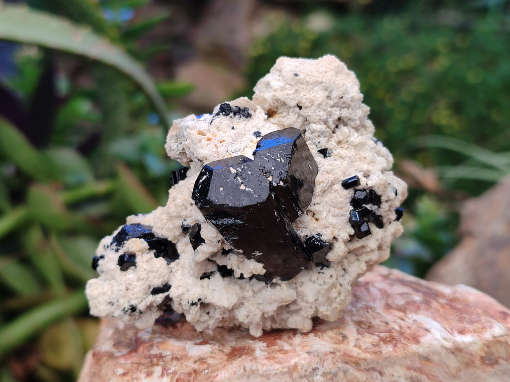 Natural Schorl Black Tourmaline on Orthoclase Matrix Clusters with a bit of Hyalite Opal x 6 From Erongo, Namibia - Toprock Gemstones and Minerals 