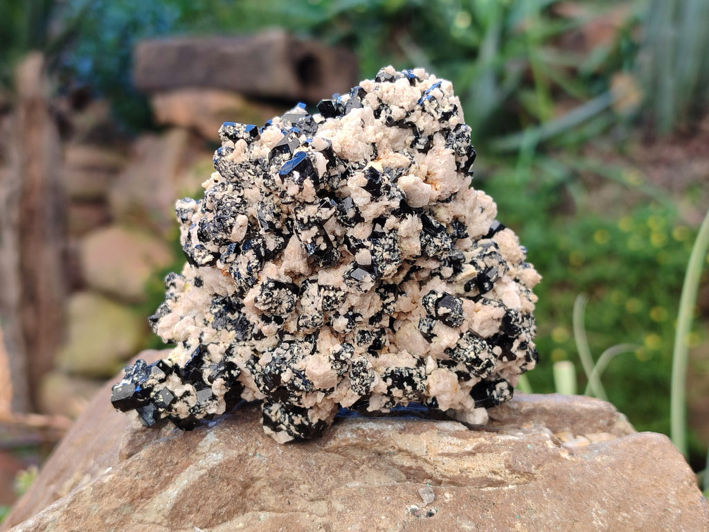 Natural Schorl Black Tourmaline on Orthoclase Matrix Clusters with a bit of Hyalite Opal x 6 From Erongo, Namibia - Toprock Gemstones and Minerals 