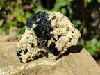 Natural Schorl Black Tourmaline on Orthoclase Matrix Clusters with a bit of Hyalite Opal x 6 From Erongo, Namibia - Toprock Gemstones and Minerals 