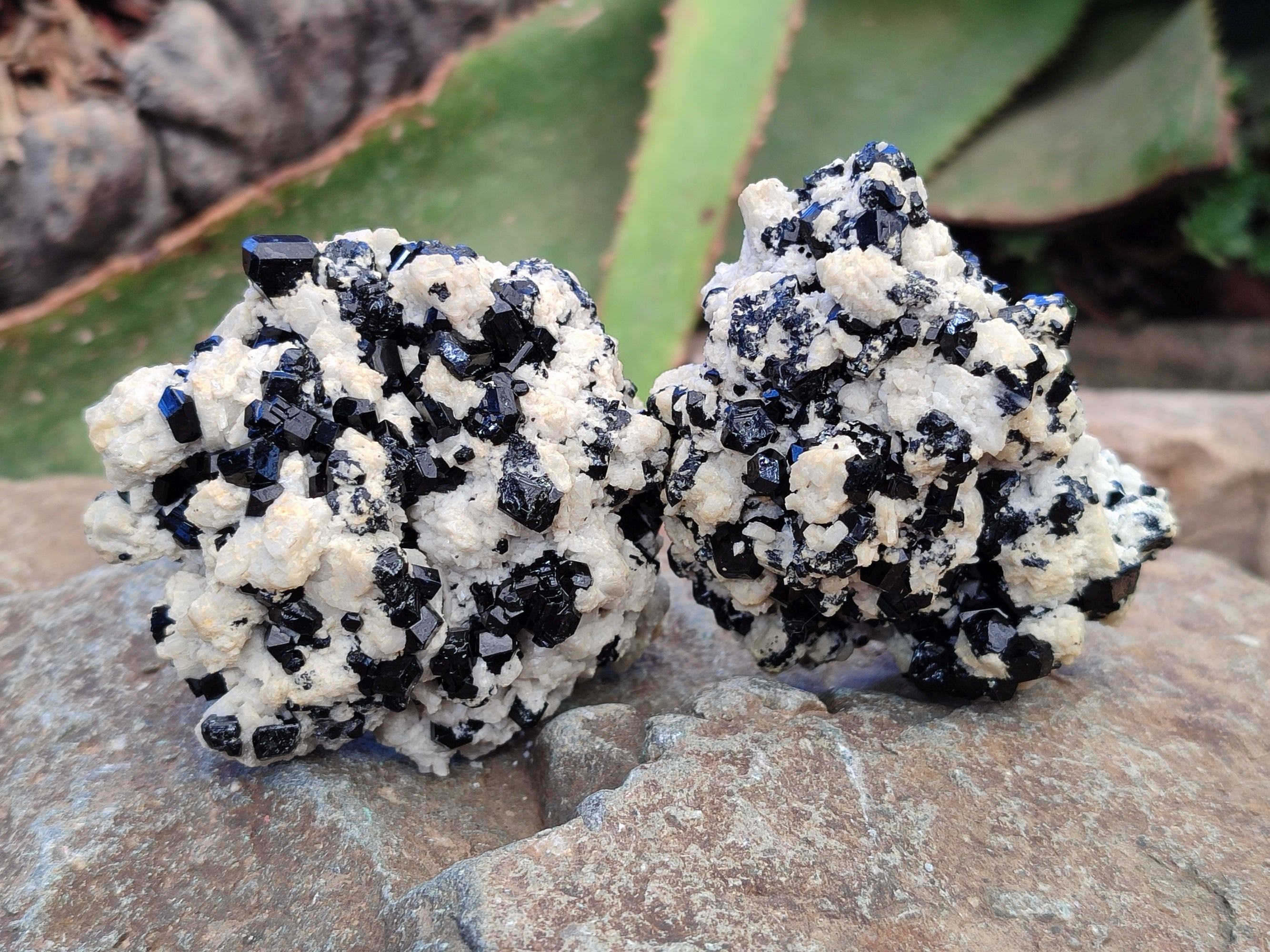 Natural Schorl Black Tourmaline on Orthoclase Matrix Clusters with a bit of Hyalite Opal x 6 From Erongo, Namibia - Toprock Gemstones and Minerals 