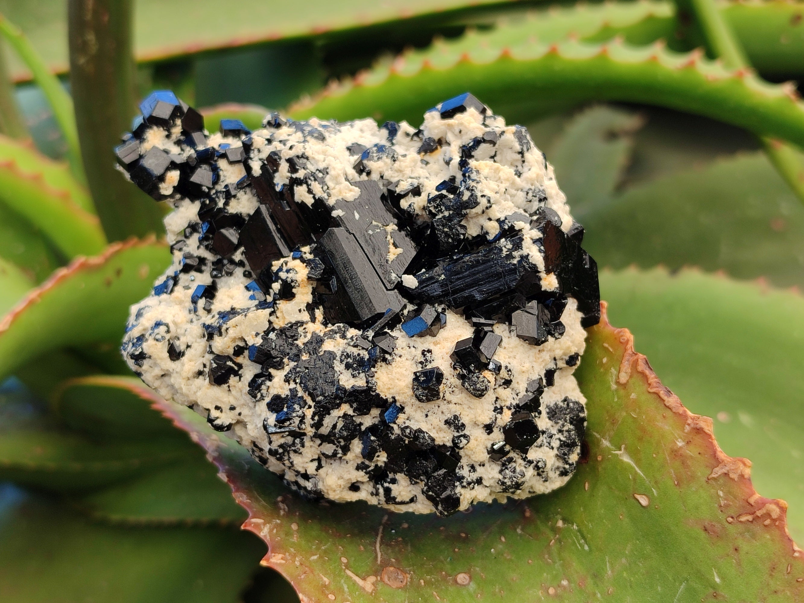 Natural Schorl Black Tourmaline on Orthoclase Matrix Clusters with a bit of Hyalite Opal x 6 From Erongo, Namibia - Toprock Gemstones and Minerals 