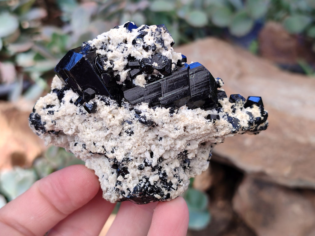 Natural Schorl Black Tourmaline on Orthoclase Matrix Clusters with a bit of Hyalite Opal x 6 From Erongo, Namibia - Toprock Gemstones and Minerals 