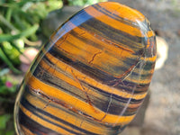 Polished Golden River Tigers Eye and Banded Tiger Iron Jasper Standing Free Forms x 2 From Prieska, South Africa - Toprock Gemstones and Minerals 