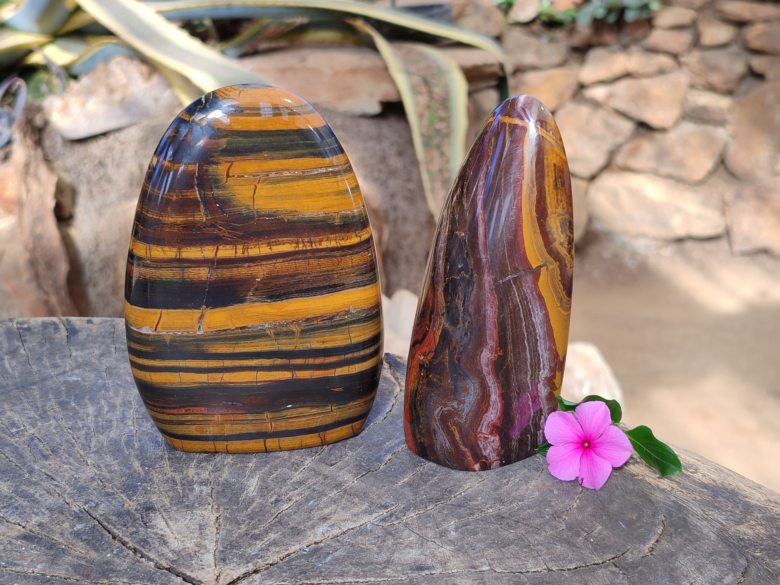 Polished Golden River Tigers Eye and Banded Tiger Iron Jasper Standing Free Forms x 2 From Prieska, South Africa - Toprock Gemstones and Minerals 