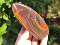 Polished Golden River Tigers Eye and Banded Tiger Iron Jasper Standing Free Forms x 2 From Prieska, South Africa - Toprock Gemstones and Minerals 