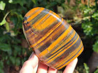 Polished Golden River Tigers Eye and Banded Tiger Iron Jasper Standing Free Forms x 2 From Prieska, South Africa - Toprock Gemstones and Minerals 