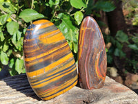 Polished Golden River Tigers Eye and Banded Tiger Iron Jasper Standing Free Forms x 2 From Prieska, South Africa - Toprock Gemstones and Minerals 
