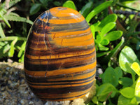 Polished Golden River Tigers Eye and Banded Tiger Iron Jasper Standing Free Forms x 2 From Prieska, South Africa - Toprock Gemstones and Minerals 