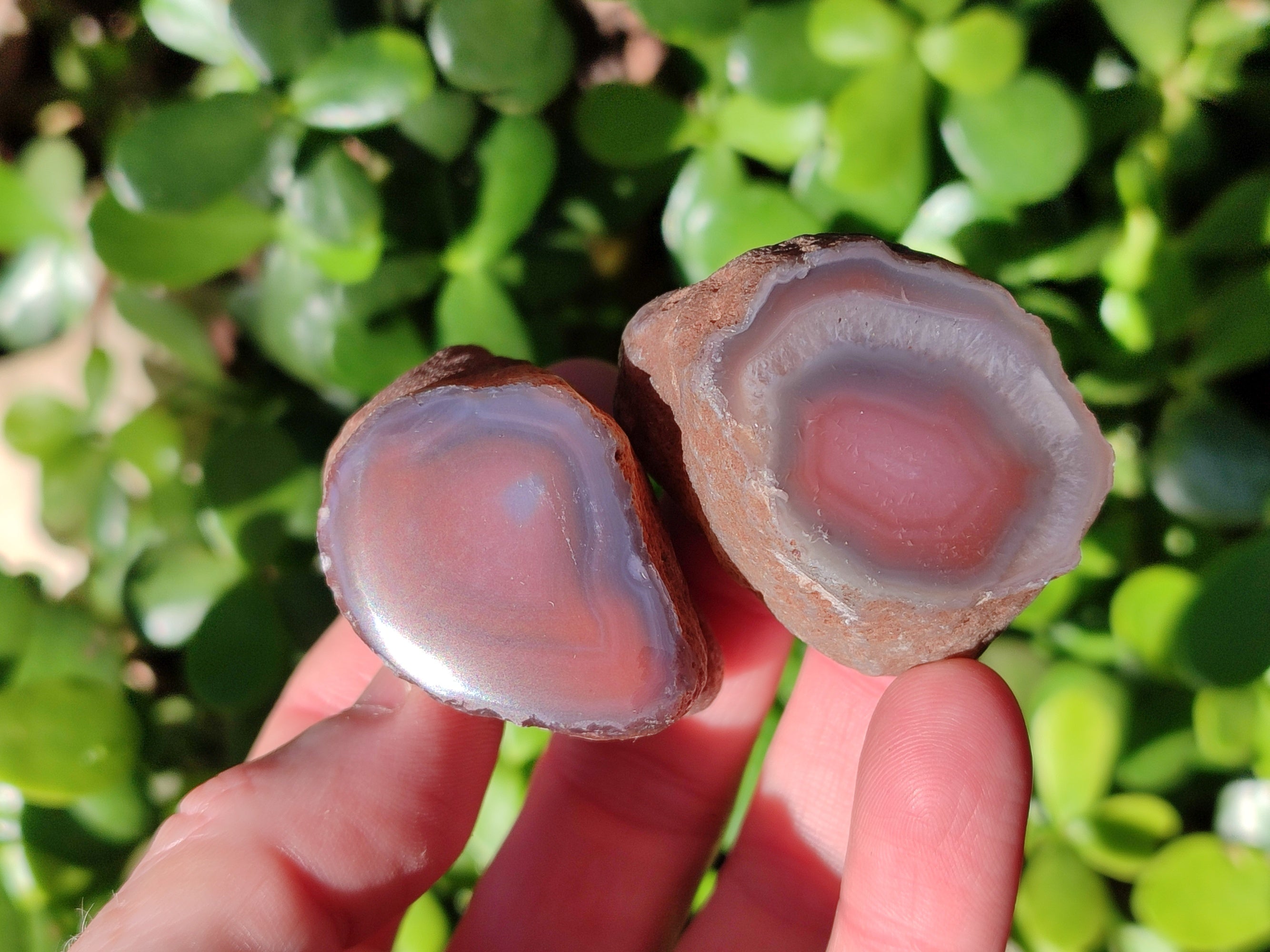 Polished On One Side Red Sashe River Agate Nodules x 20 From Zimbabwe - Toprock Gemstones and Minerals 