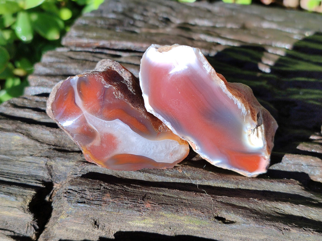Polished On One Side Red Sashe River Agate Nodules x 20 From Zimbabwe - Toprock Gemstones and Minerals 