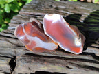Polished On One Side Red Sashe River Agate Nodules x 20 From Zimbabwe - Toprock Gemstones and Minerals 