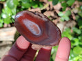 Polished On One Side Red Sashe River Agate Nodules x 20 From Zimbabwe - Toprock Gemstones and Minerals 