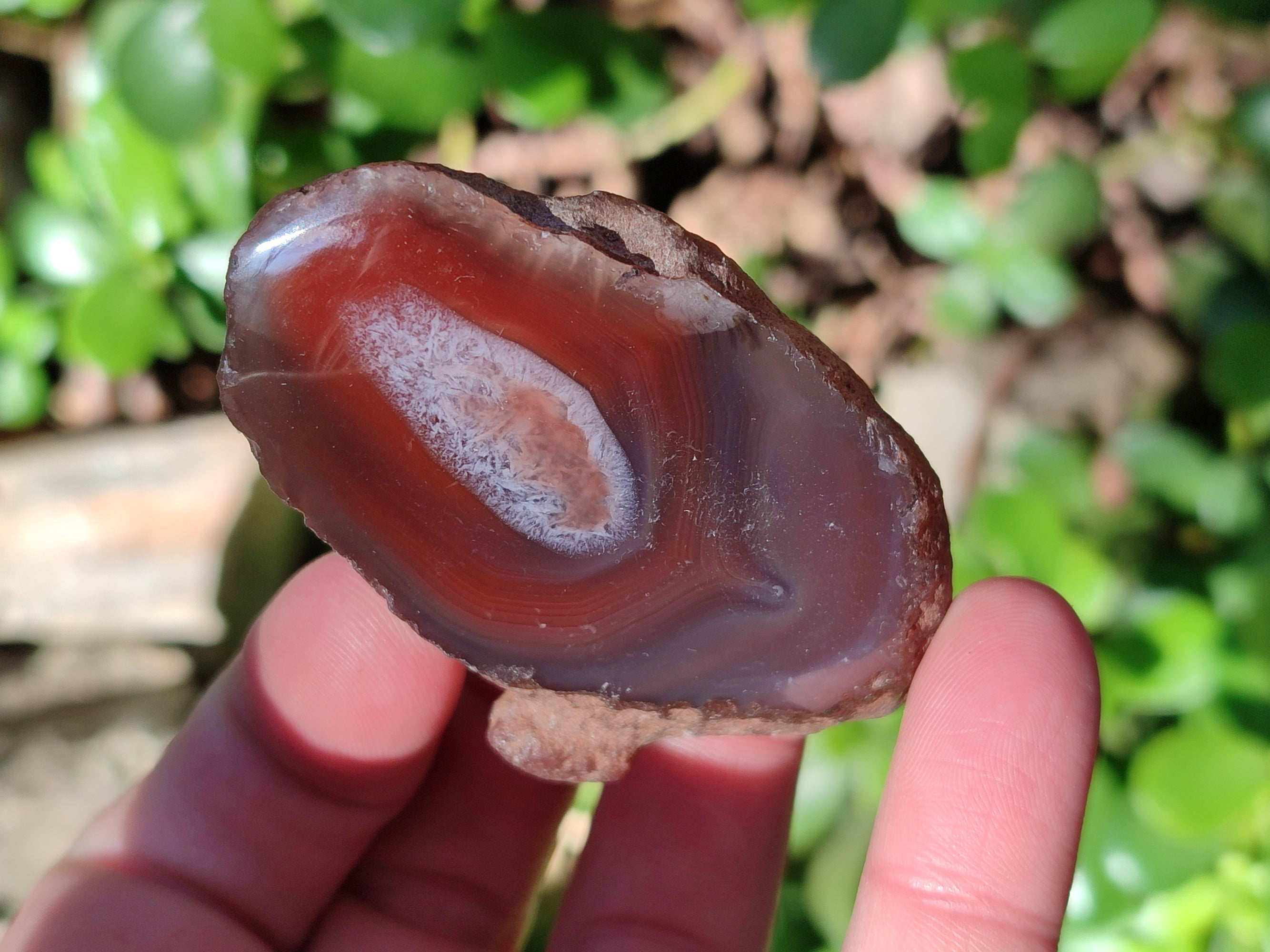 Polished On One Side Red Sashe River Agate Nodules x 20 From Zimbabwe - Toprock Gemstones and Minerals 