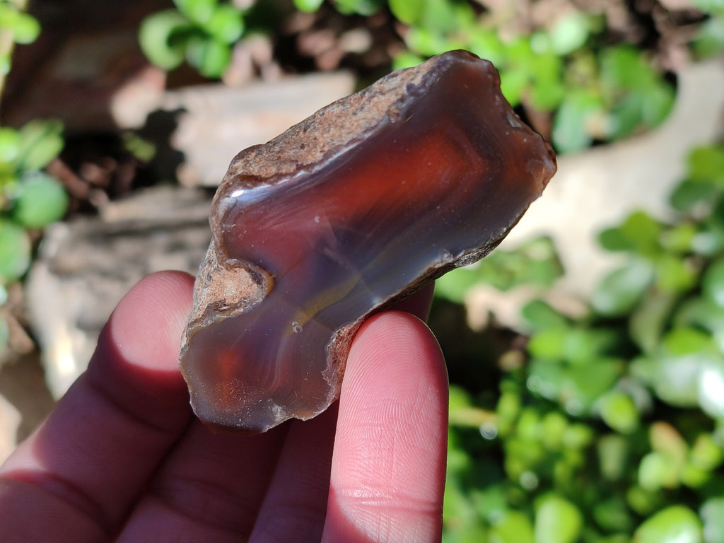 Polished On One Side Red Sashe River Agate Nodules x 20 From Zimbabwe - Toprock Gemstones and Minerals 