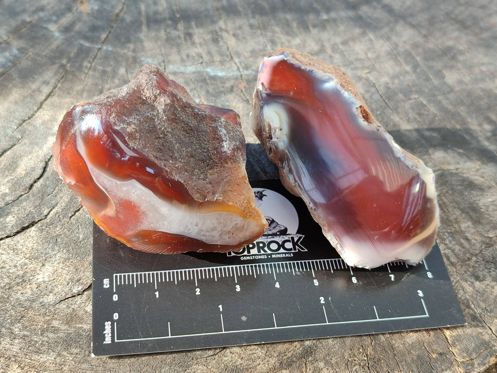 Polished On One Side Red Sashe River Agate Nodules x 20 From Zimbabwe - Toprock Gemstones and Minerals 