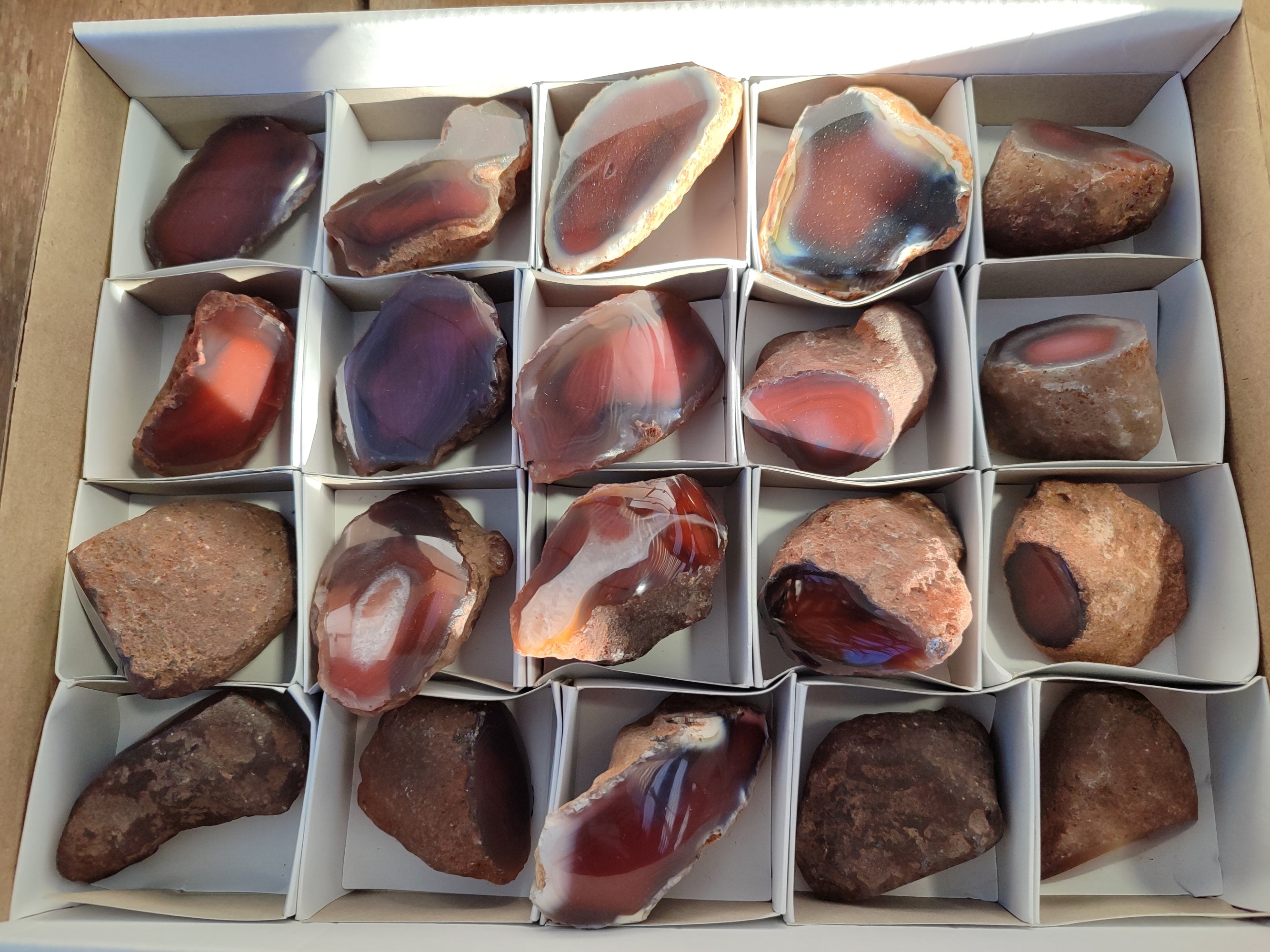 Polished On One Side Red Sashe River Agate Nodules x 20 From Zimbabwe - Toprock Gemstones and Minerals 