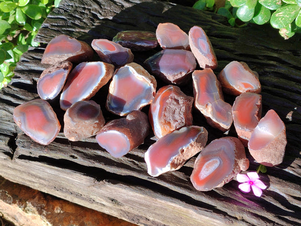 Polished On One Side Red Sashe River Agate Nodules x 20 From Zimbabwe