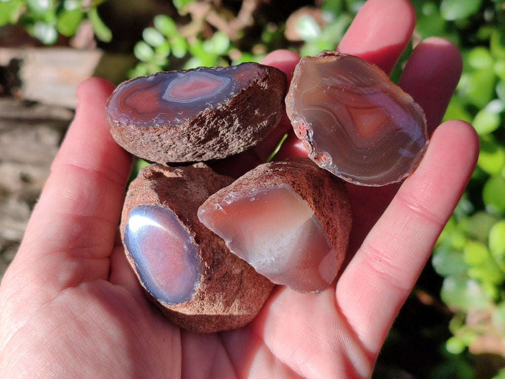 Polished On One Side Red Sashe River Agate Nodules x 20 From Zimbabwe - Toprock Gemstones and Minerals 