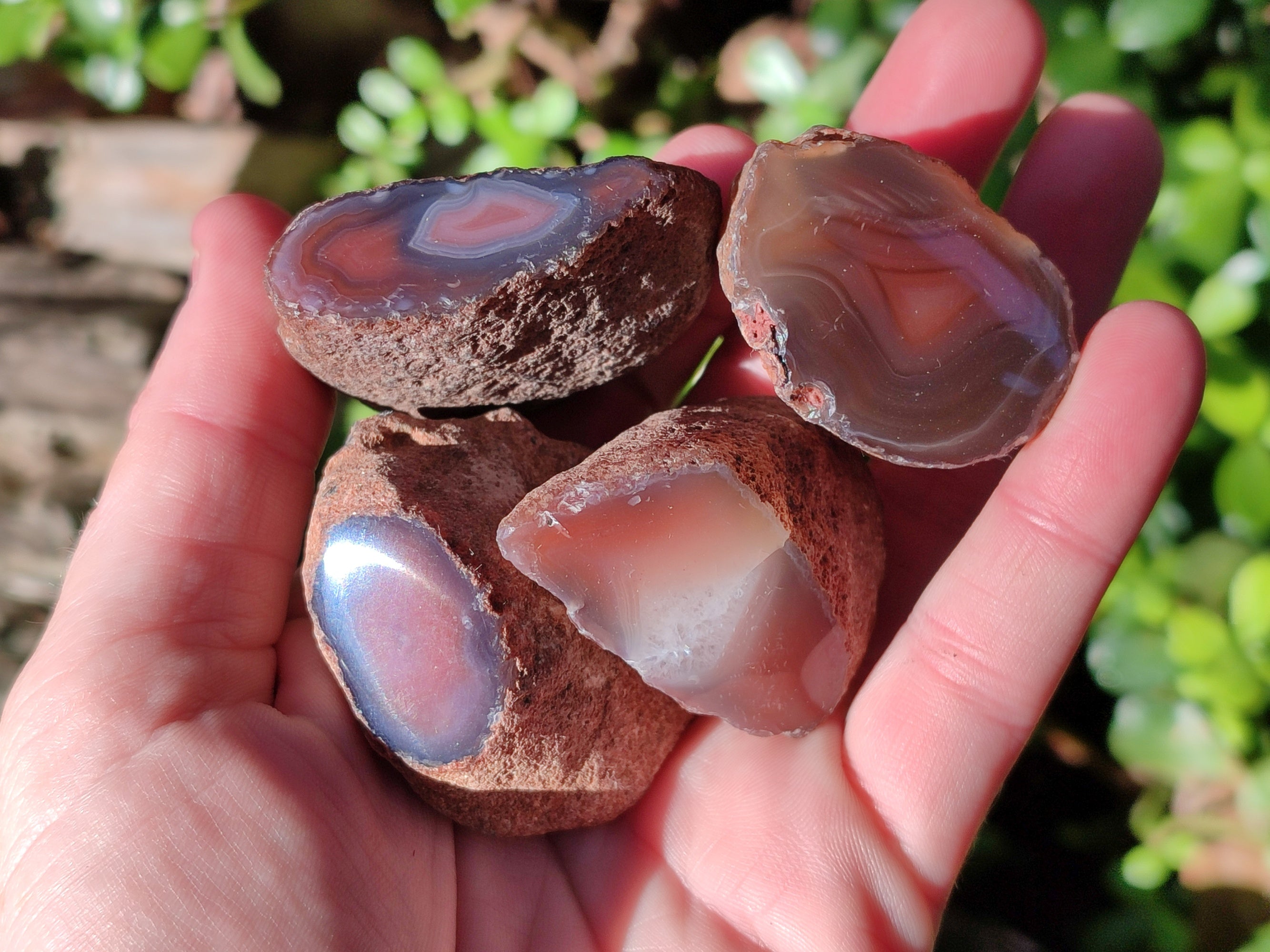 Polished On One Side Red Sashe River Agate Nodules x 20 From Zimbabwe - Toprock Gemstones and Minerals 