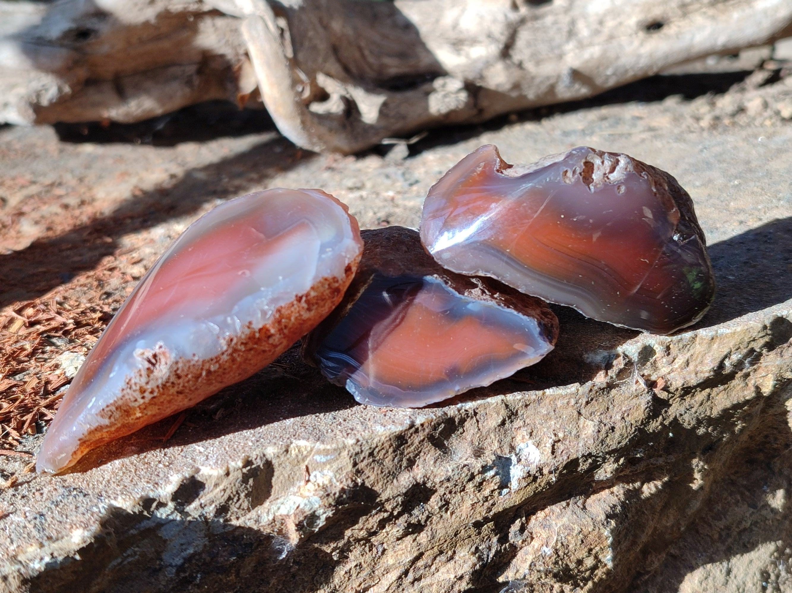 Polished On One Side Red Sashe River Agate Nodules x 20 From Zimbabwe - Toprock Gemstones and Minerals 