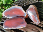 Polished On One Side Red Sashe River Agate Nodules x 20 From Zimbabwe - Toprock Gemstones and Minerals 