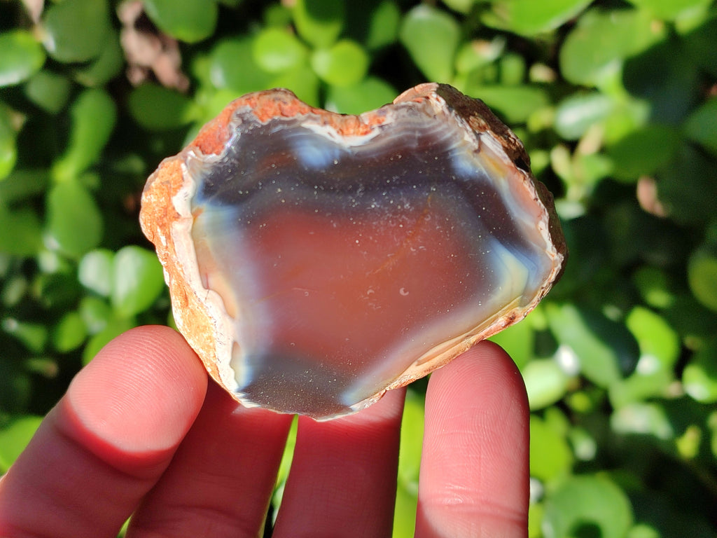 Polished On One Side Red Sashe River Agate Nodules x 20 From Zimbabwe - Toprock Gemstones and Minerals 