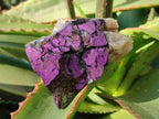 Natural Metallic Purpurite Cobbed Specimens x 6 From Erongo, Namibia - Toprock Gemstones and Minerals 