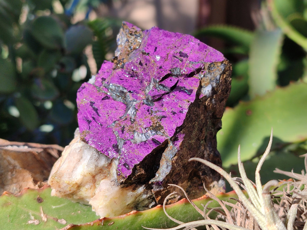 Natural Metallic Purpurite Cobbed Specimens x 6 From Erongo, Namibia - Toprock Gemstones and Minerals 
