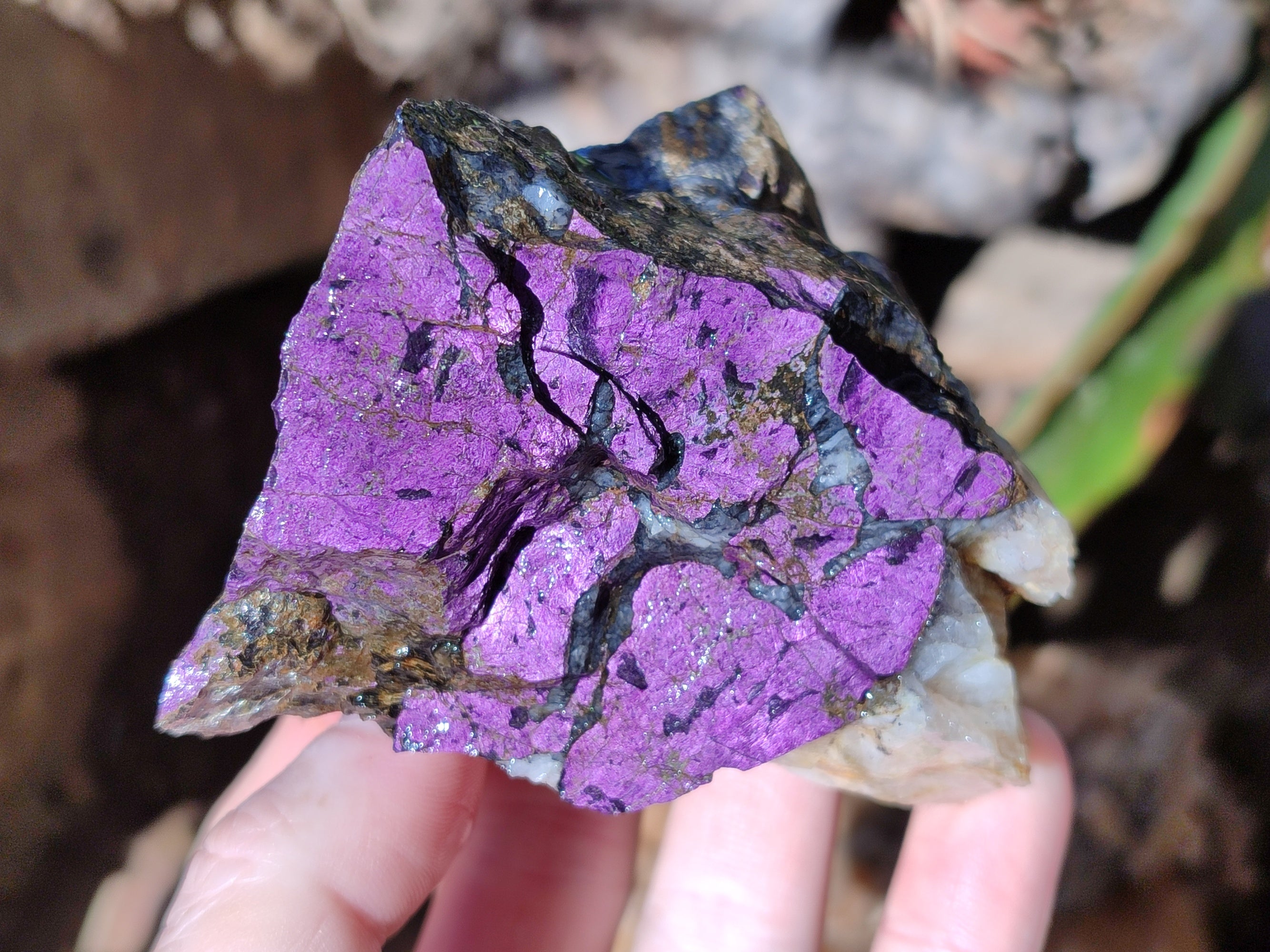Natural Metallic Purpurite Cobbed Specimens x 6 From Erongo, Namibia - Toprock Gemstones and Minerals 