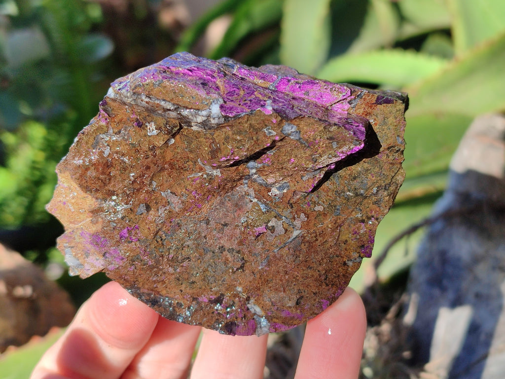 Natural Metallic Purpurite Cobbed Specimens x 6 From Erongo, Namibia - Toprock Gemstones and Minerals 