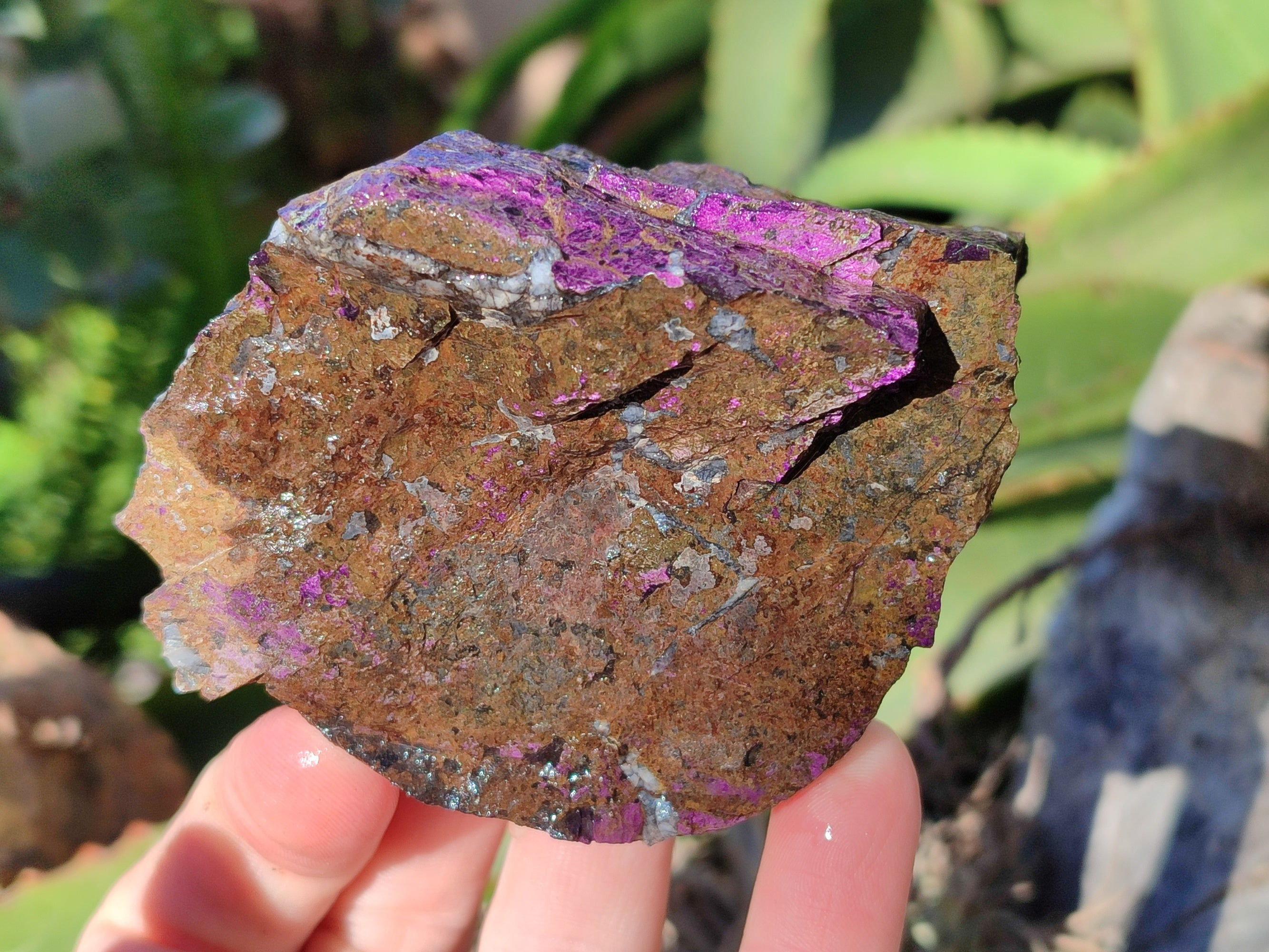 Natural Metallic Purpurite Cobbed Specimens x 6 From Erongo, Namibia - Toprock Gemstones and Minerals 