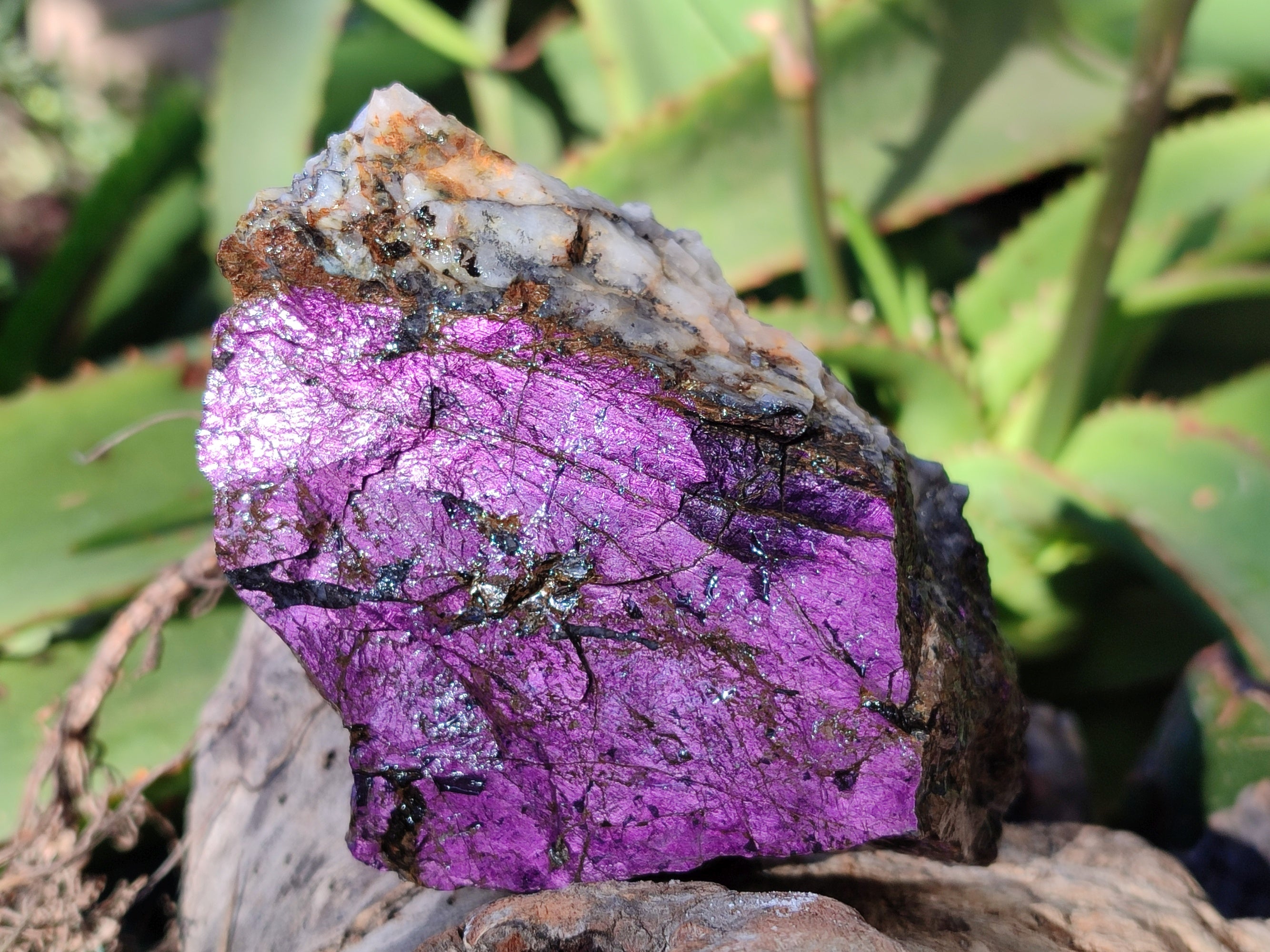 Natural Metallic Purpurite Cobbed Specimens x 6 From Erongo, Namibia - Toprock Gemstones and Minerals 