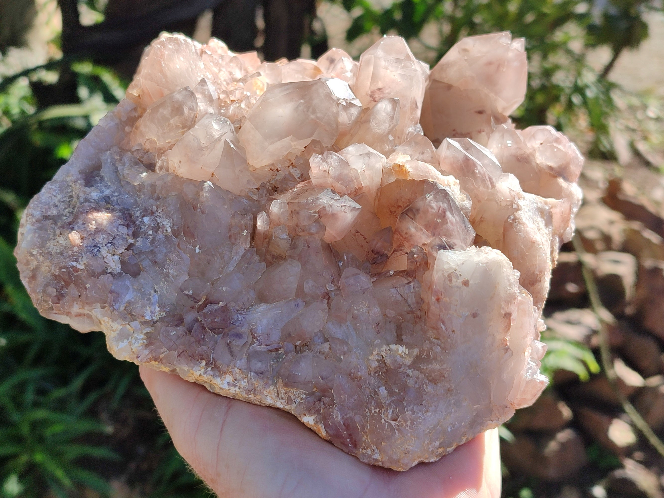 Natural Large Red Hematoid Quartz Cluster x 1 From Karoi, Zimbabwe - Toprock Gemstones and Minerals 