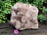 Natural Large Red Hematoid Quartz Cluster x 1 From Karoi, Zimbabwe