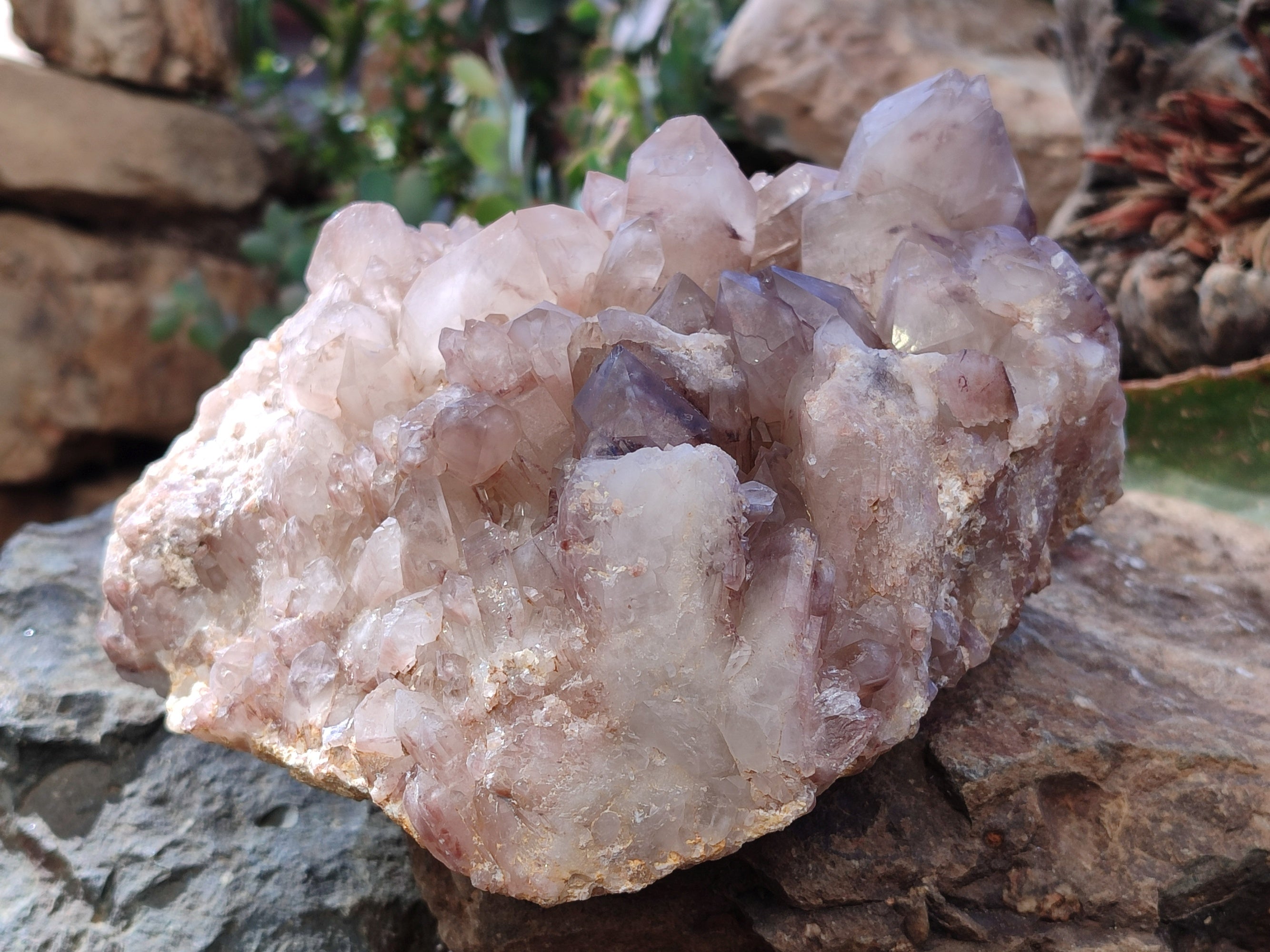 Natural Large Red Hematoid Quartz Cluster x 1 From Karoi, Zimbabwe - Toprock Gemstones and Minerals 