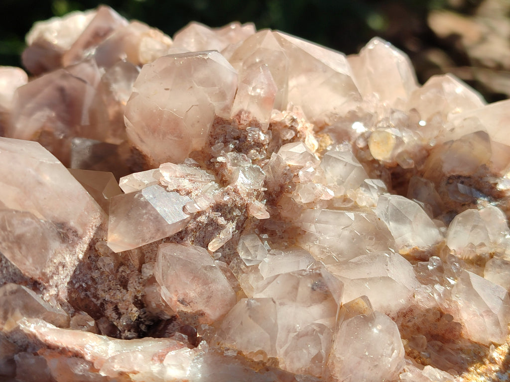 Natural Large Red Hematoid Quartz Cluster x 1 From Karoi, Zimbabwe - Toprock Gemstones and Minerals 