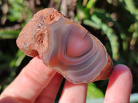 Polished On One Side Red Sashe River Agate Nodules x 12 From Zimbabwe - Toprock Gemstones and Minerals 