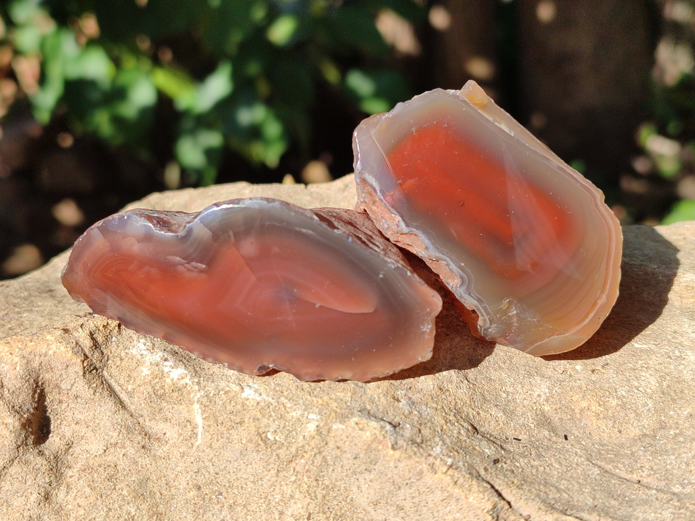 Polished On One Side Red Sashe River Agate Nodules x 12 From Zimbabwe - Toprock Gemstones and Minerals 