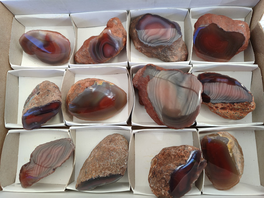 Polished On One Side Red Sashe River Agate Nodules x 12 From Zimbabwe - Toprock Gemstones and Minerals 