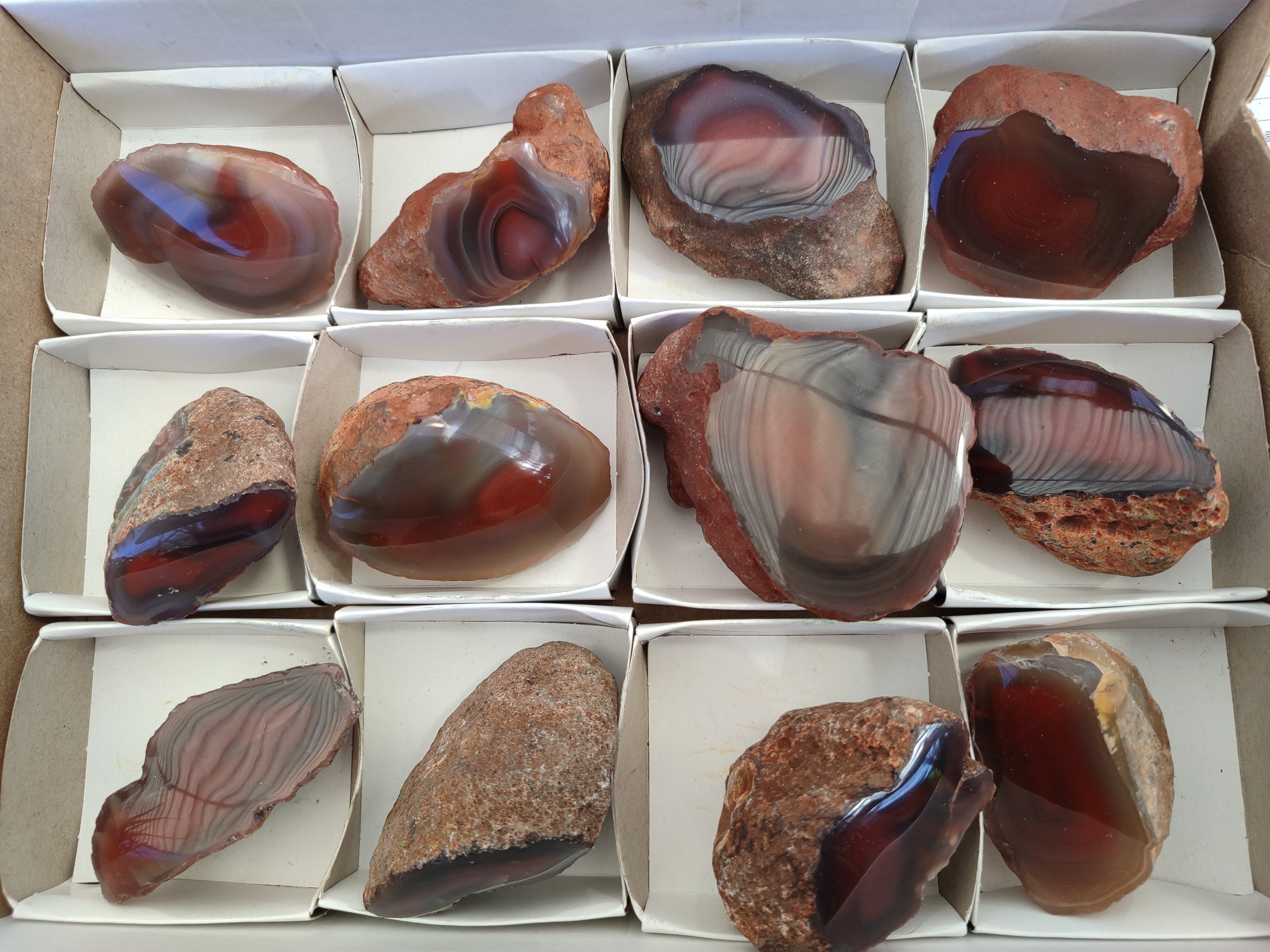 Polished On One Side Red Sashe River Agate Nodules x 12 From Zimbabwe - Toprock Gemstones and Minerals 