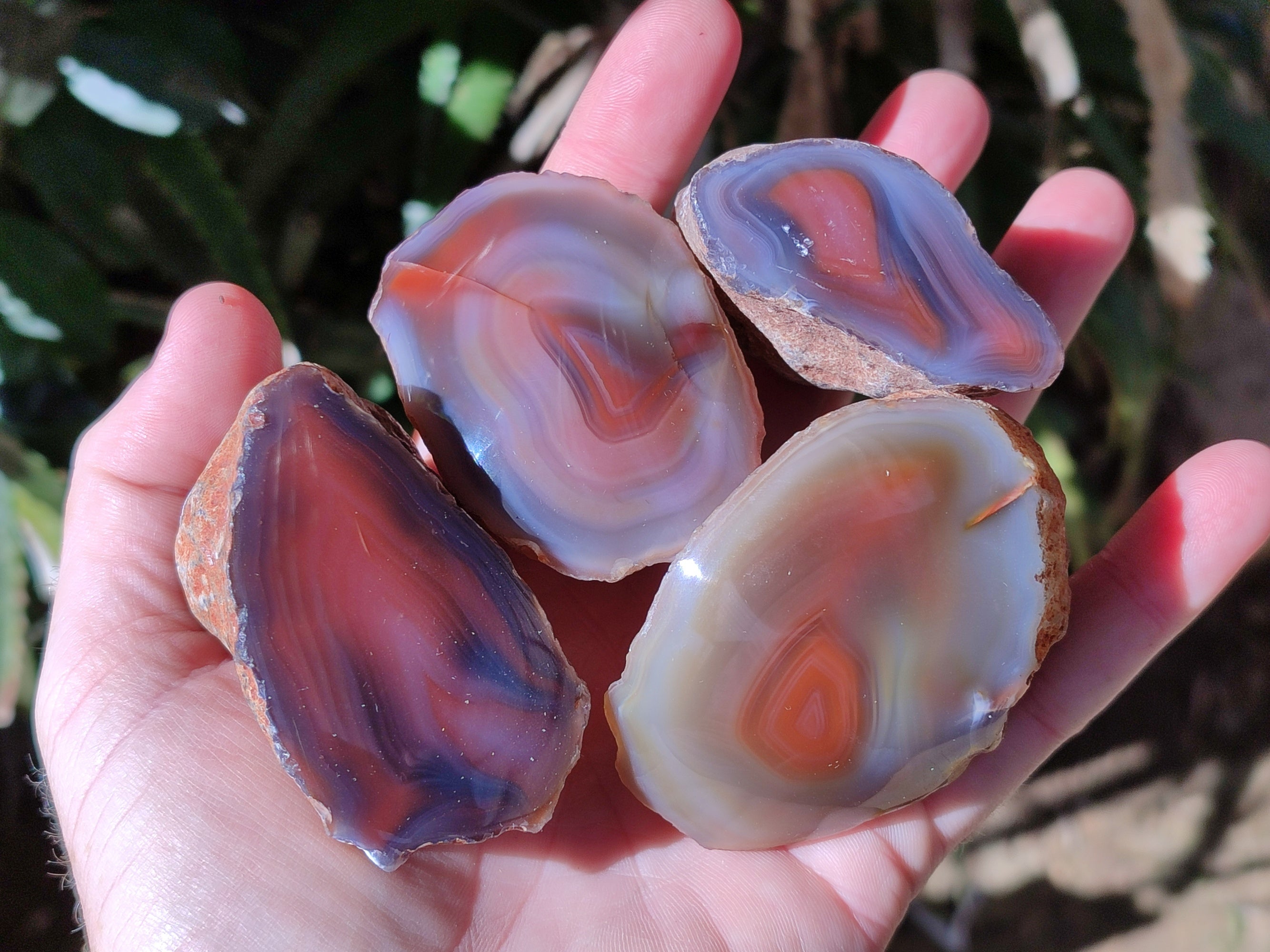 Polished On One Side Red Sashe River Agate Nodules x 12 From Zimbabwe - Toprock Gemstones and Minerals 