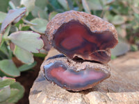 Polished On One Side Red Sashe River Agate Nodules x 12 From Zimbabwe - Toprock Gemstones and Minerals 