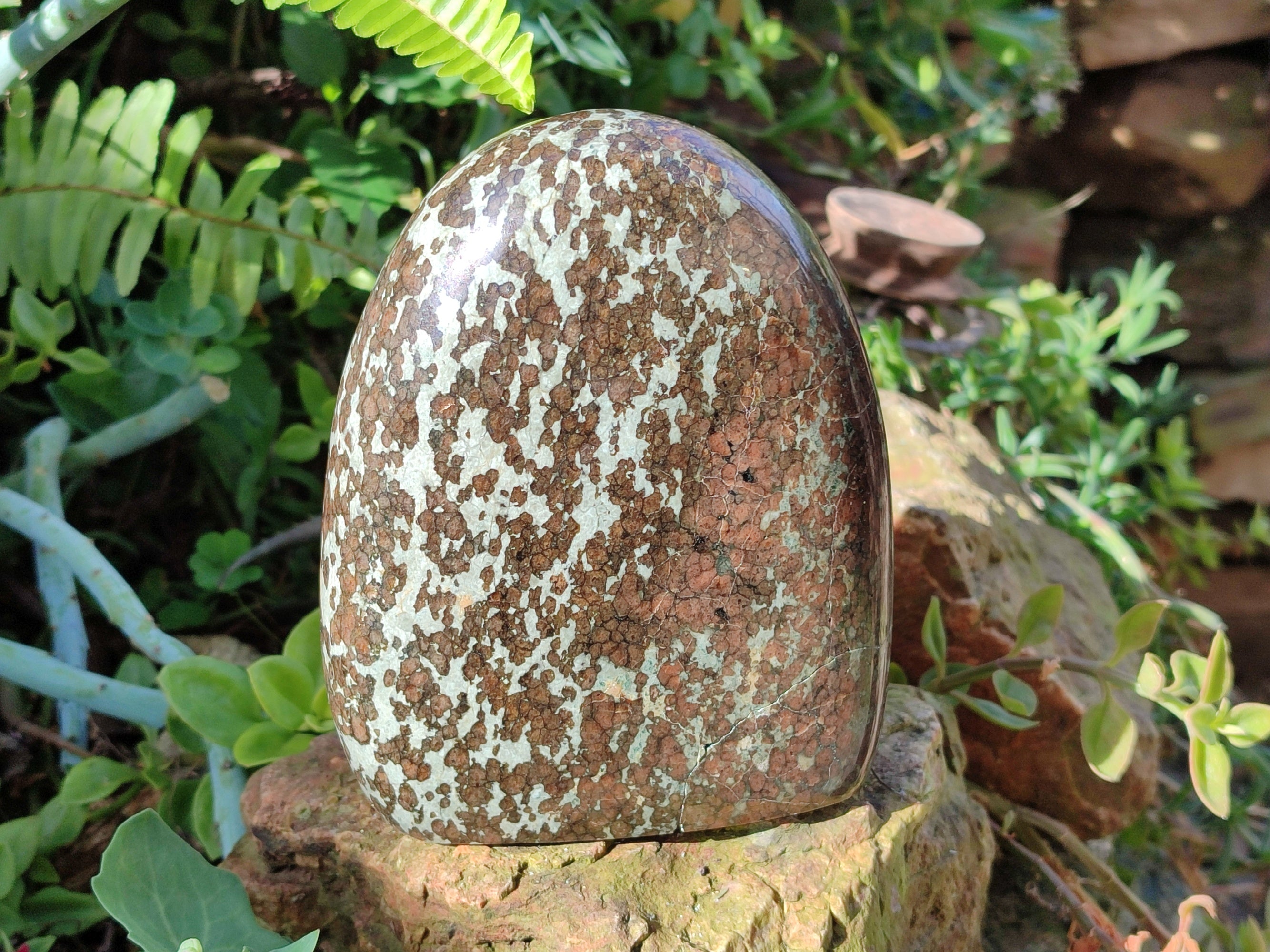 Polished Rare Eclogite Garnet Standing Free Form x 1 From Northern Cape, South Africa - Toprock Gemstones and Minerals 