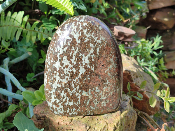 Polished Rare Eclogite Garnet Standing Free Form x 1 From Northern Cape, South Africa