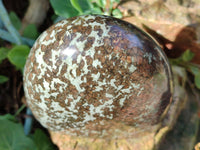 Polished Rare Eclogite Garnet Standing Free Form x 1 From Northern Cape, South Africa - Toprock Gemstones and Minerals 