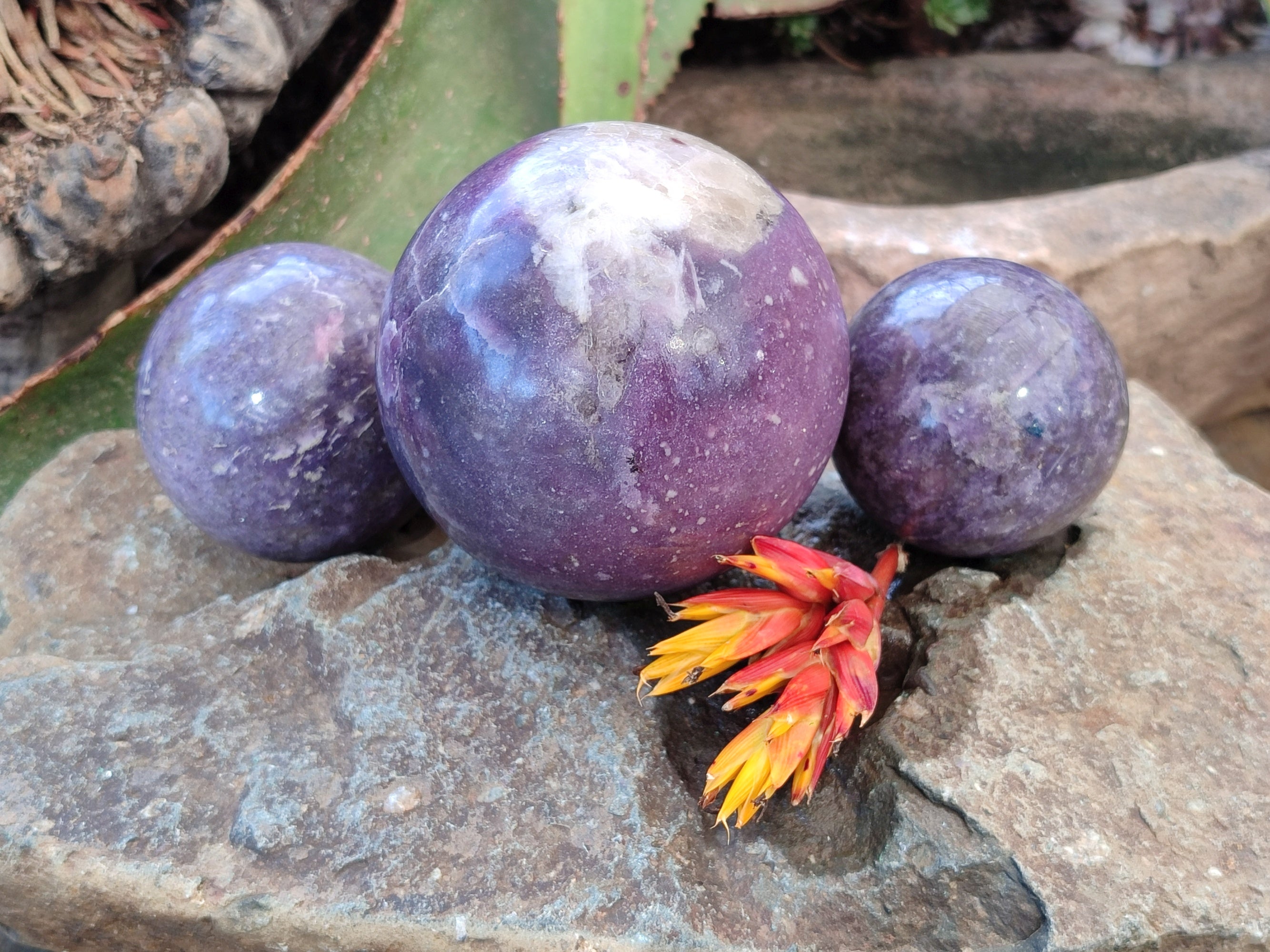Polished Lepidolite with Pink Rubellite Spheres x 3 From Ambatondrazaka, Madagascar - Toprock Gemstones and Minerals 