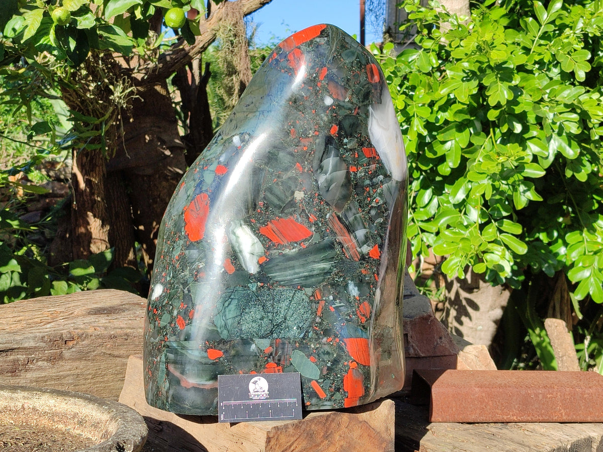 Polished Exceptional Extra Large AA Grade Bloodstone Display Piece x 1 From Swaziland - Toprock Gemstones and Minerals 