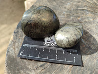 Polished Rare Pharaoh Stone Pyrite in Basalt Palm Stones x 12 Iron Duke Mine, Zimbabwe
