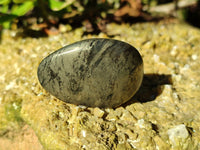 Polished Rare Pharaoh Stone Pyrite in Basalt Palm Stones x 12 Iron Duke Mine, Zimbabwe